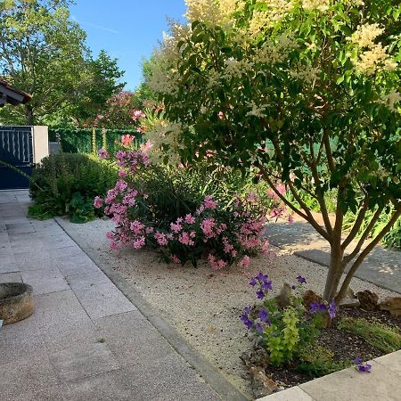 Petite Maison Pres Du Centre LʼIsle-sur-la-Sorgue 외부 사진