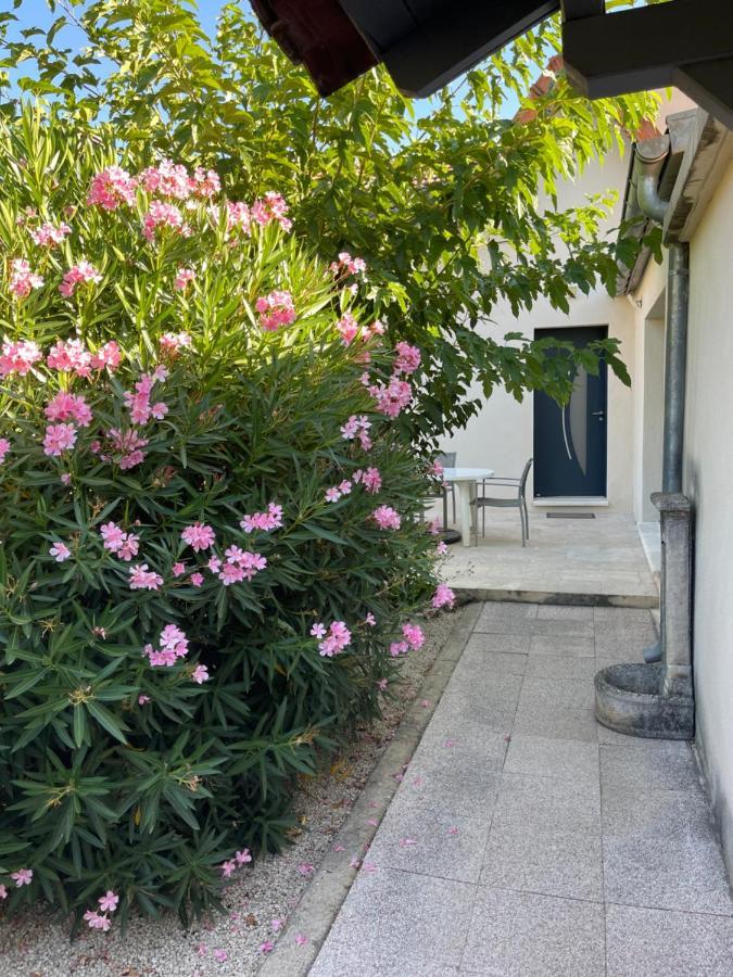 Petite Maison Pres Du Centre LʼIsle-sur-la-Sorgue 외부 사진